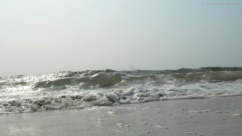 Ocean waves at the shore
