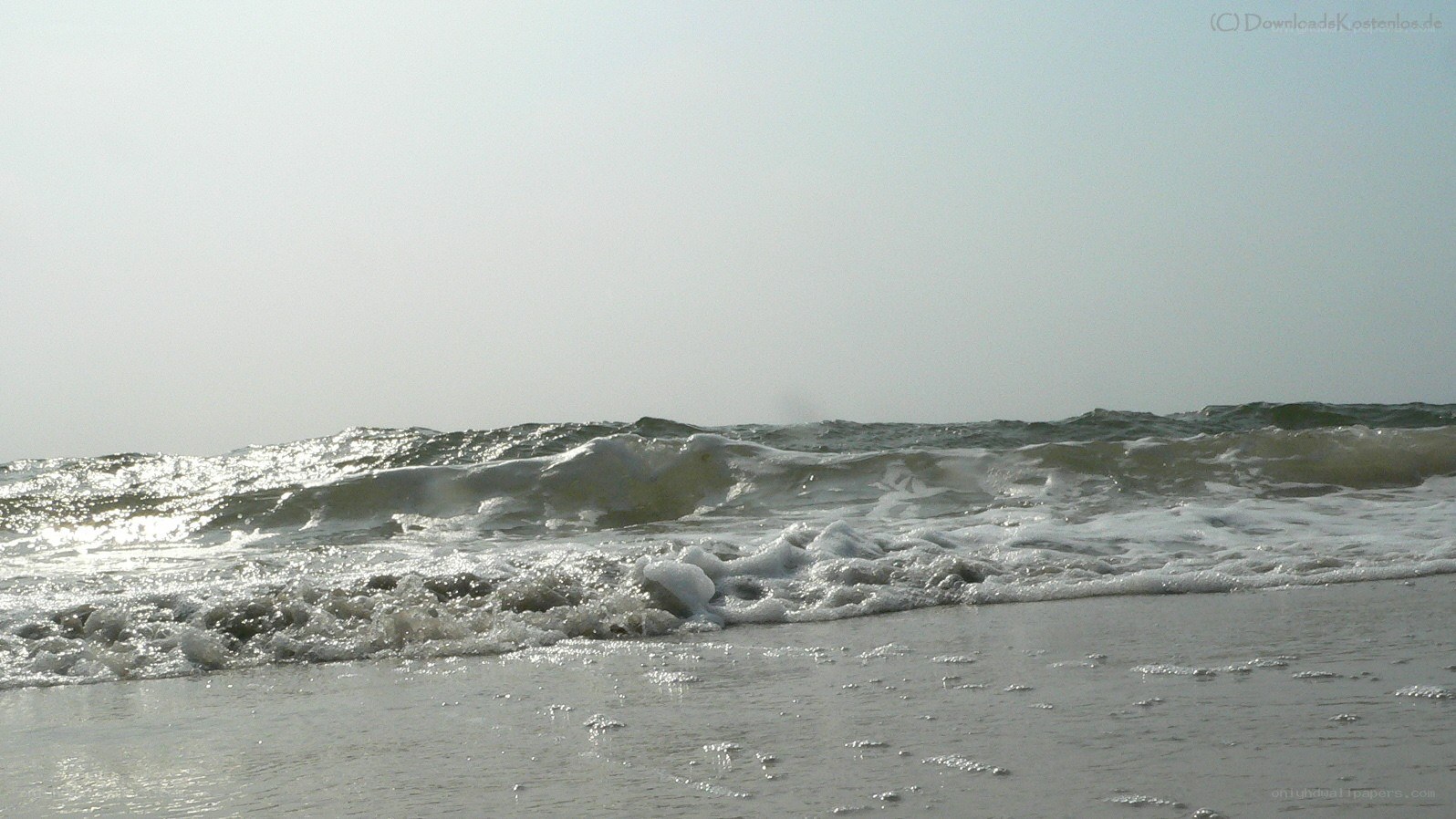 Ocean waves at the shore