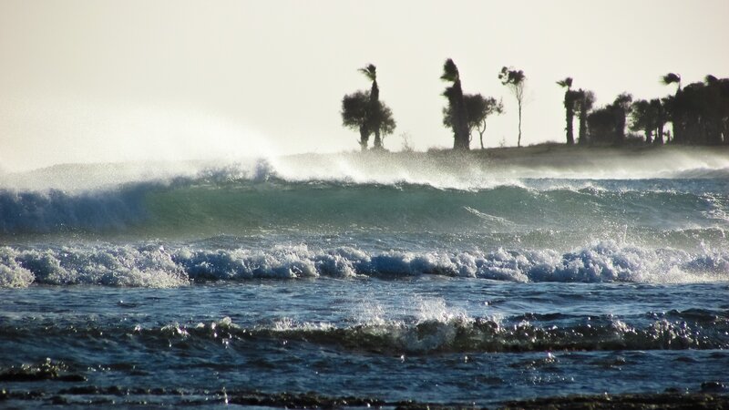 Ocean Waves Crashing — Blue, Dramatic, Afternoon, Photograph, Palm Trees