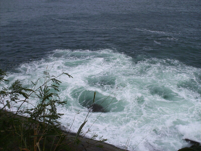 Ocean Waves Crashing — Blue, Dramatic, Photograph, Plants