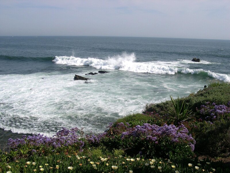 Ocean Waves Crashing — Blue, Dynamic, Afternoon, Photograph, Flowers
