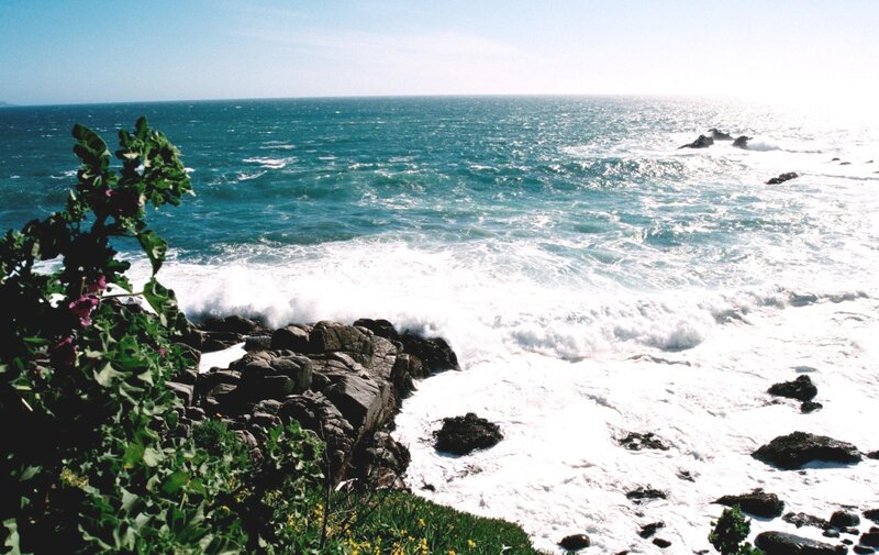 Ocean Waves Crashing — Blue, Dynamic, Afternoon, Photograph, Rocks, Plants