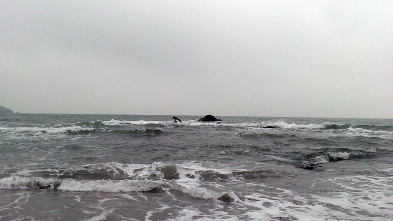 Ocean Waves Crashing — Gray, Overcast