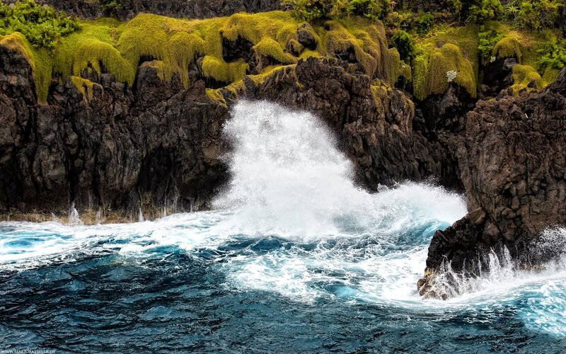 Ocean waves crashing on mossy cliffs