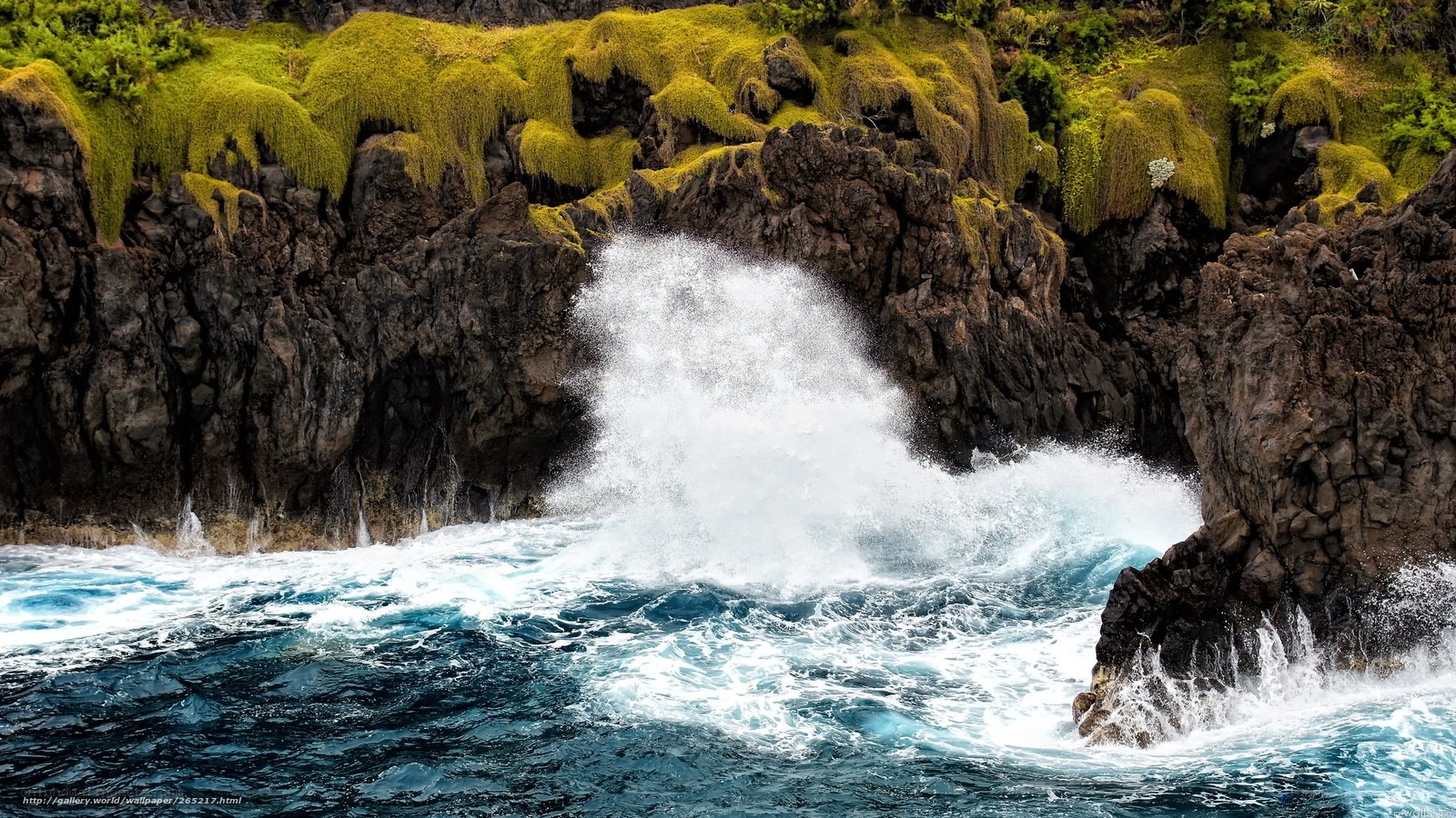 Ocean waves crashing on mossy cliffs