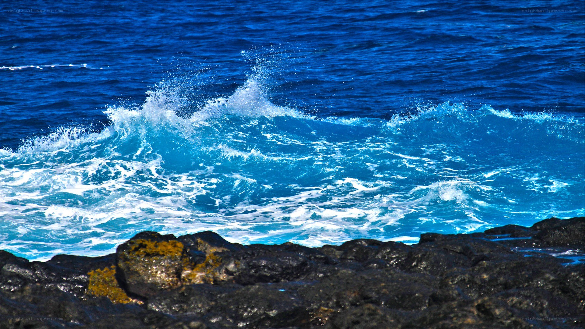 Ocean waves crashing on rocks
