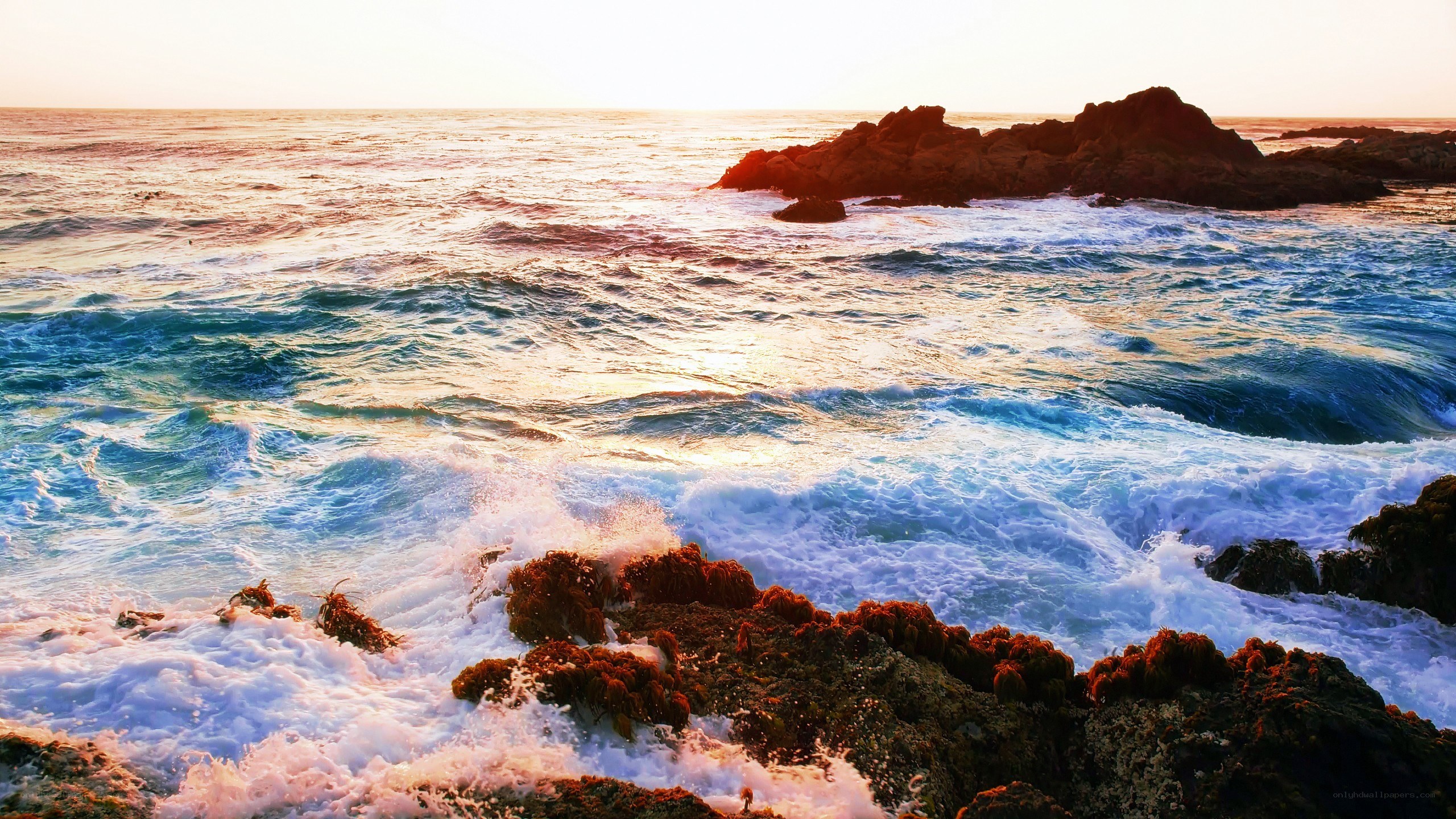 Ocean waves crashing on rocks