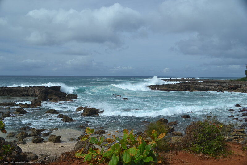 Ocean Waves Crashing on Rocks — Blue, Dramatic, Photograph, Plants
