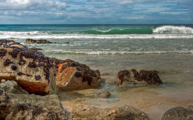 Ocean waves crashing on rocky shore