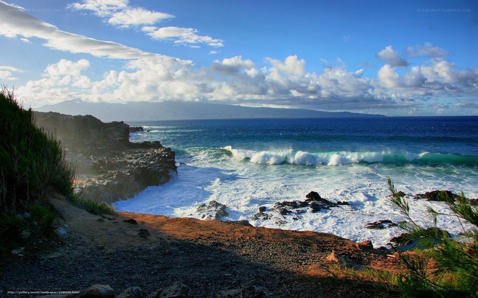 Ocean waves crashing on rocky shore