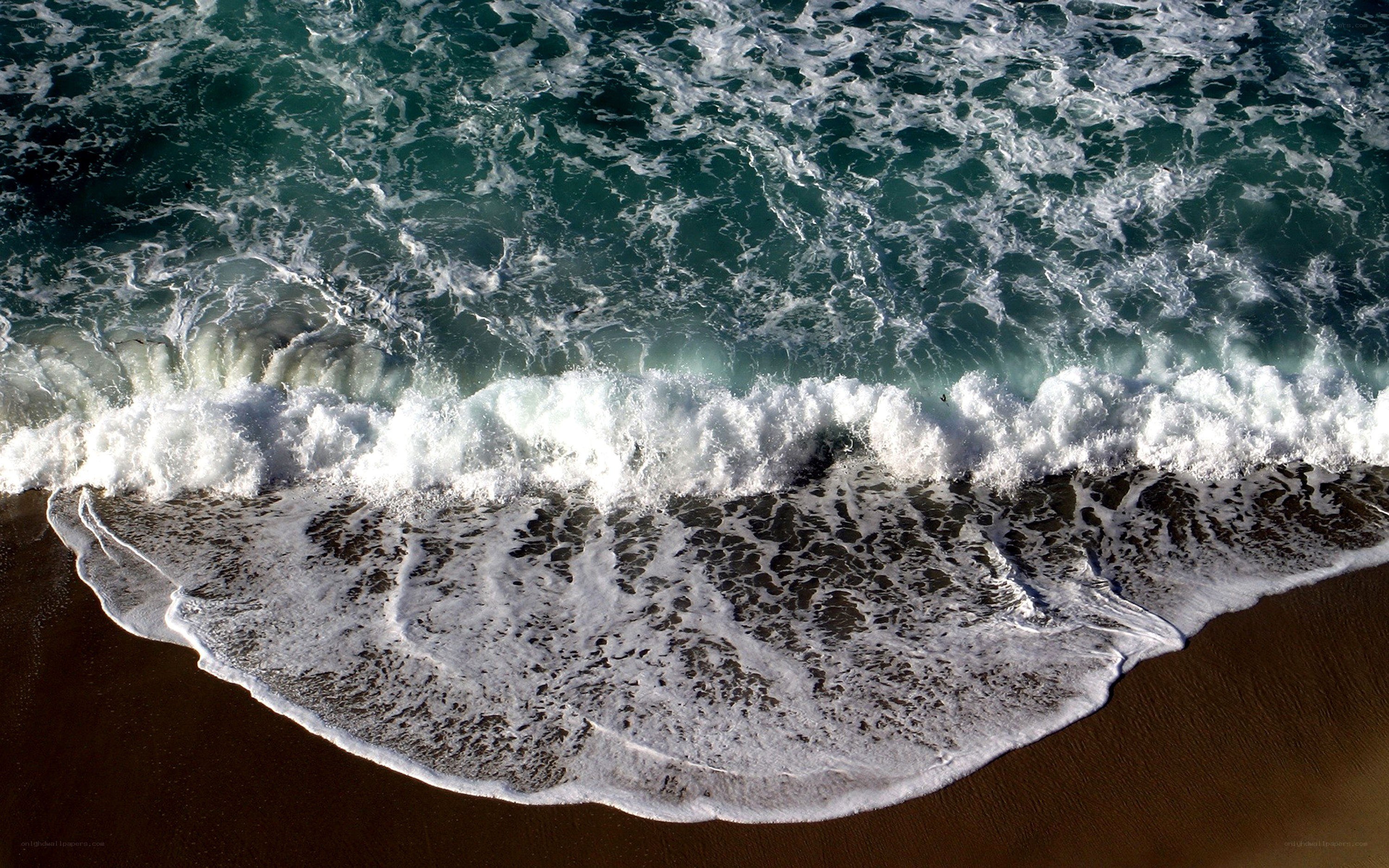 Ocean waves crashing on shore