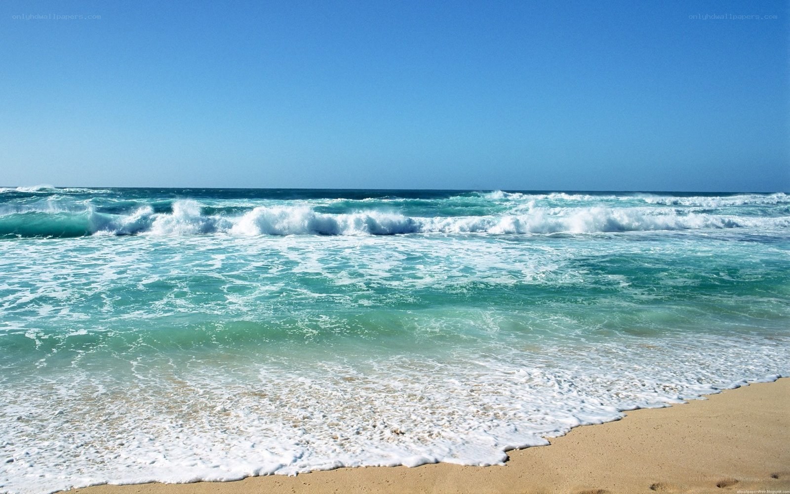 Ocean waves on a sunny day