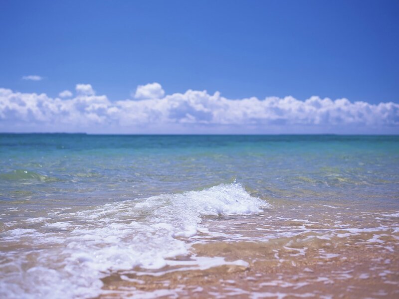 Ocean waves on a sunny day