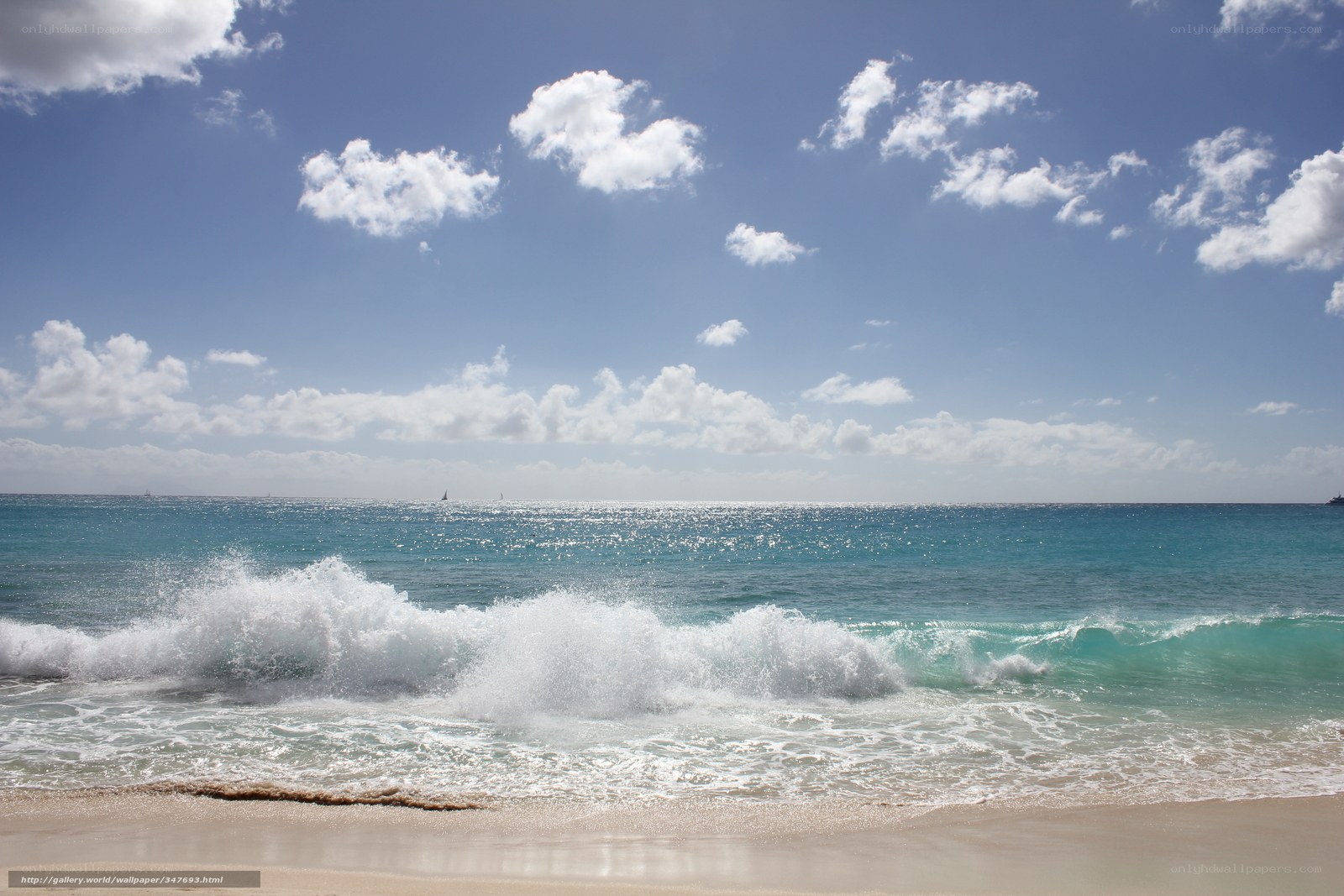 Ocean waves on a sunny day