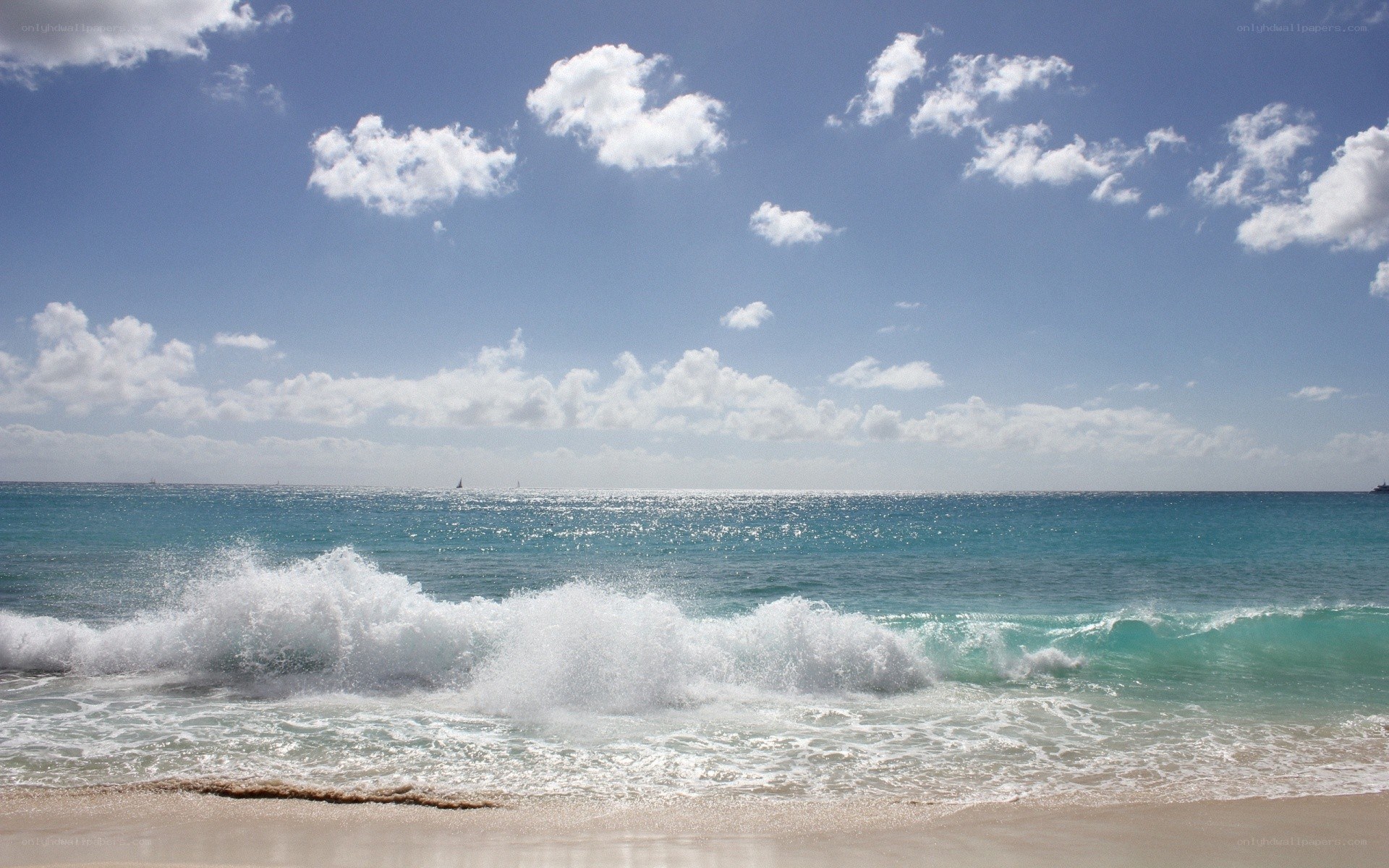 Ocean waves on a sunny day
