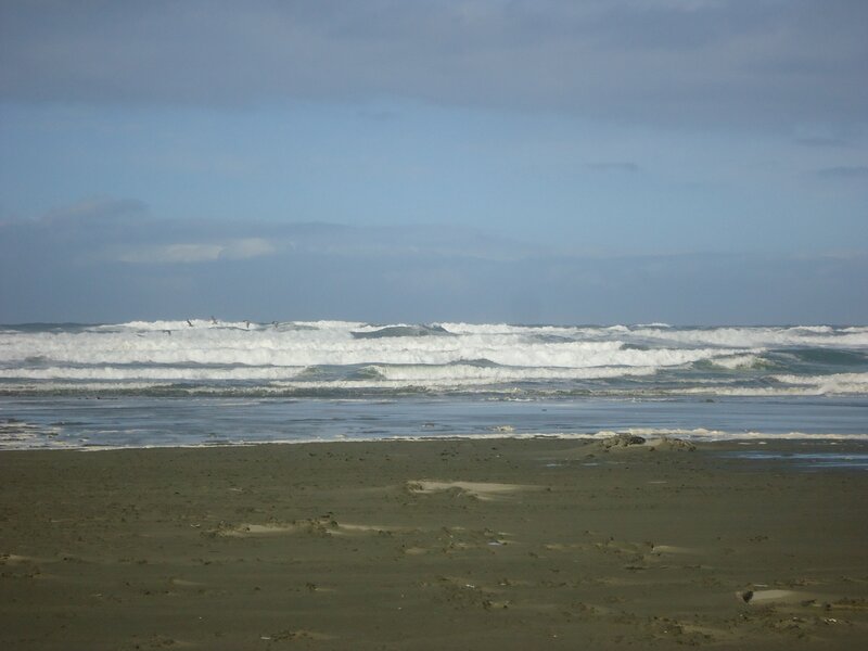 Ocean Waves on Beach — Blue, Calm, Afternoon, Photograph, Sand, Birds