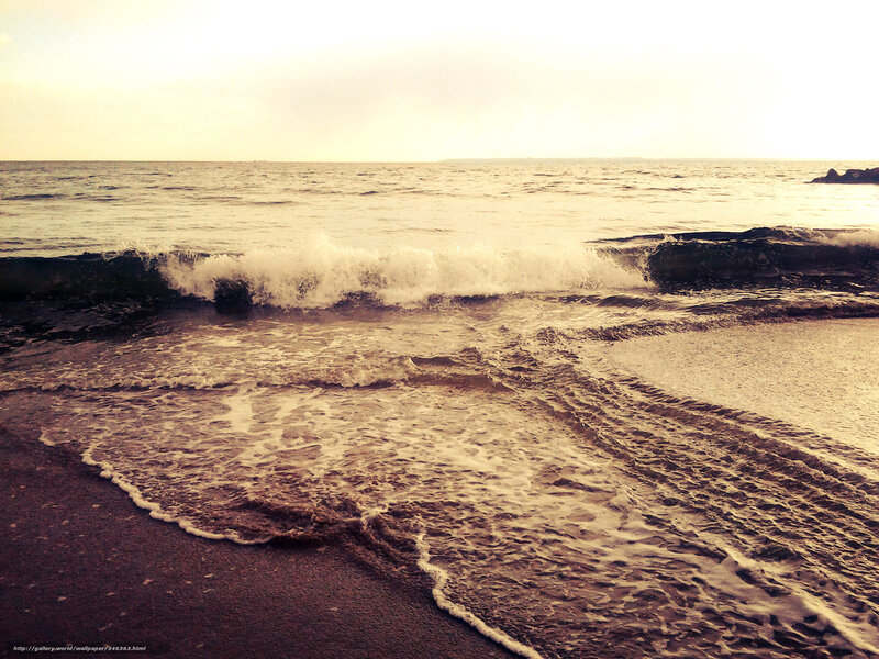 Ocean Waves on Beach — Brown