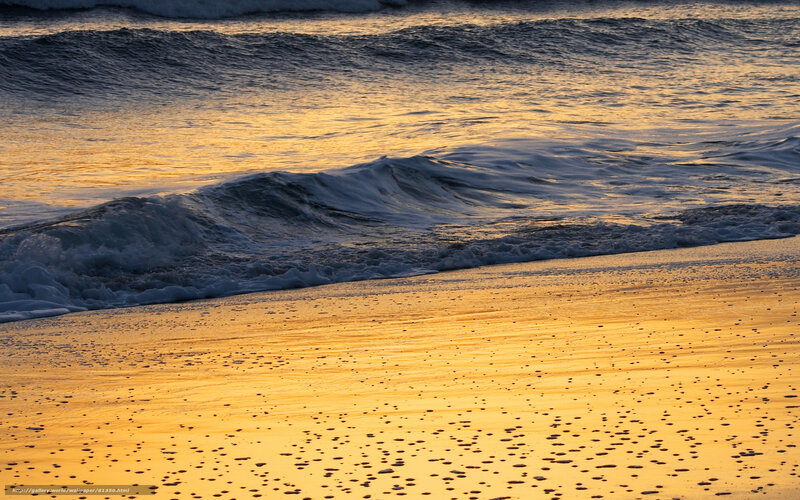 Ocean Waves on Beach — Gold, Serene