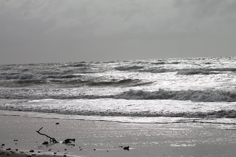 Ocean Waves on Beach — Gray, Dramatic, Photograph, Driftwood