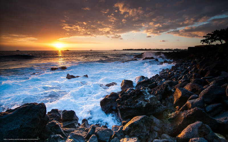 Ocean Waves on Rocks — Orange, Dramatic, Sunset, Photograph, Sun, Clouds, Boats, Trees