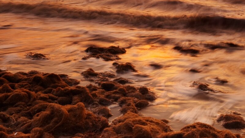 Ocean Waves on Rocks — Orange, Serene, Sunset, Photograph, Sunlight