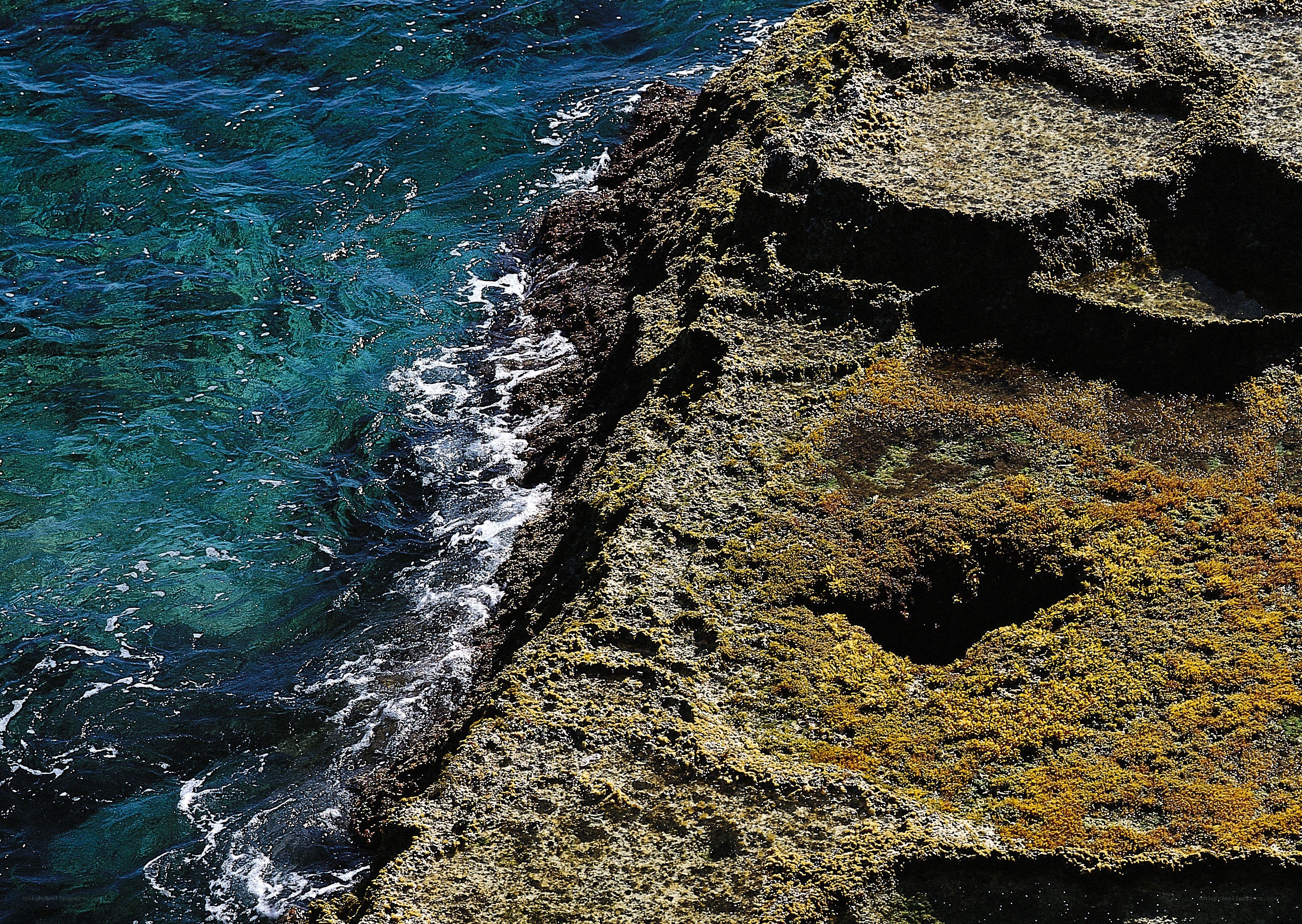 ocean waves on rocky shore