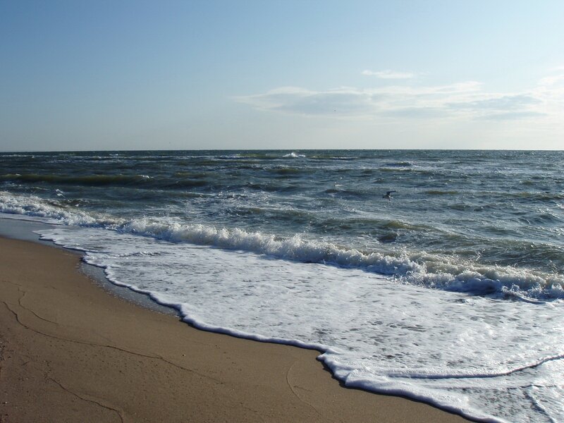 Ocean waves on sandy beach