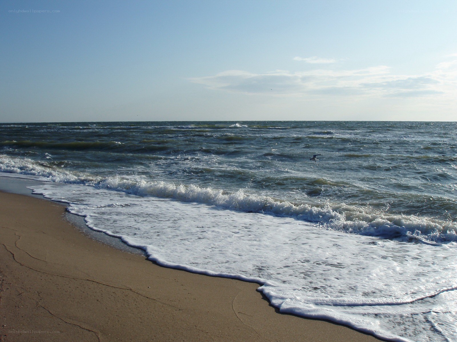 Ocean waves on sandy beach