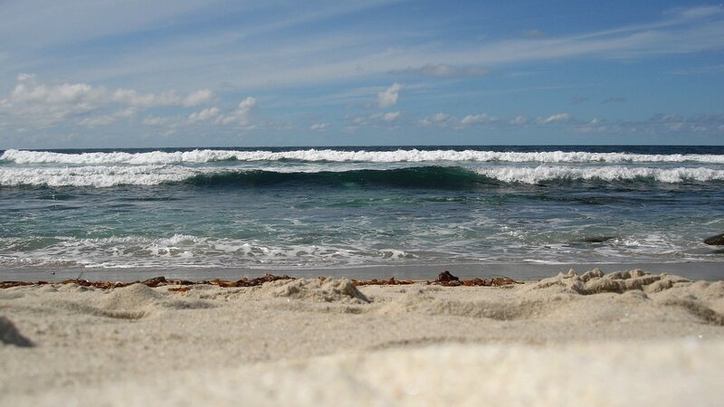 Ocean Waves on Sandy Beach — Blue, Calm, Afternoon, Photograph, Sand, Seaweed
