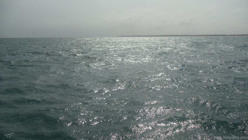 Ocean with Distant Land — Gray