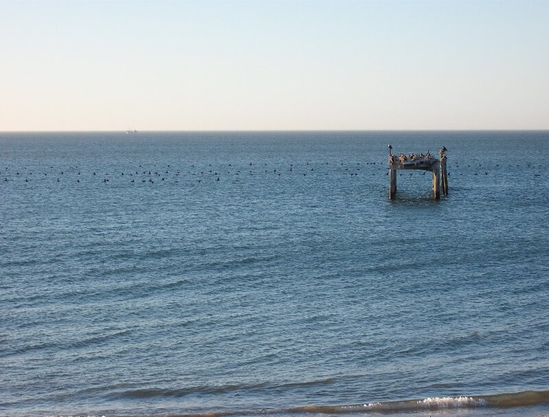 Ocean with pier and birds