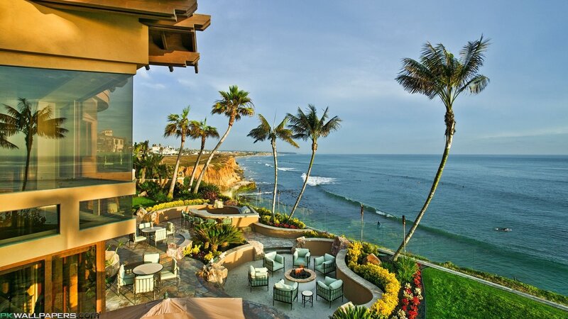 Oceanfront Patio with Palm Trees — Blue