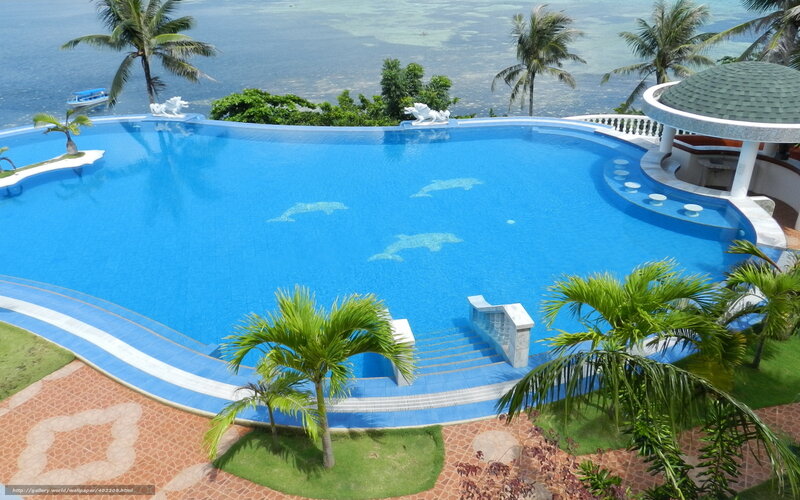 Oceanfront pool with dolphin mosaics