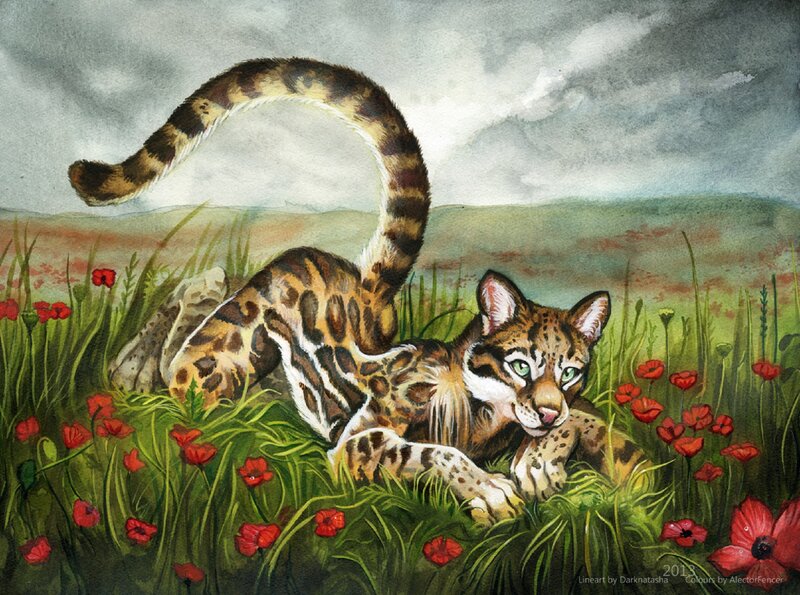 Ocelot in a Field