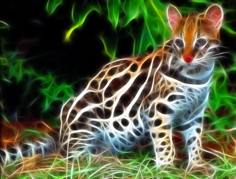 Ocelot in Grass — Green, Dramatic