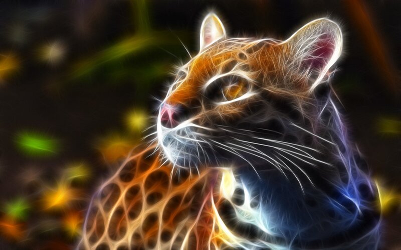 Ocelot in Neon Light