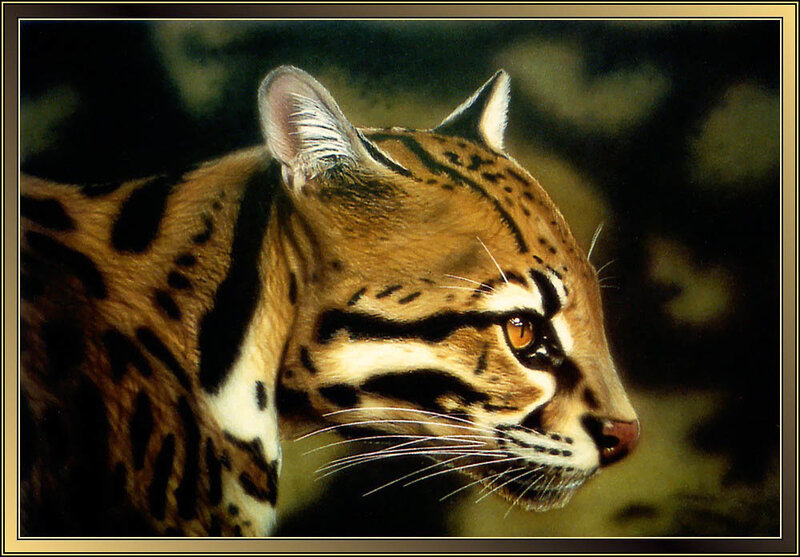 Ocelot in Profile — Brown, Alert