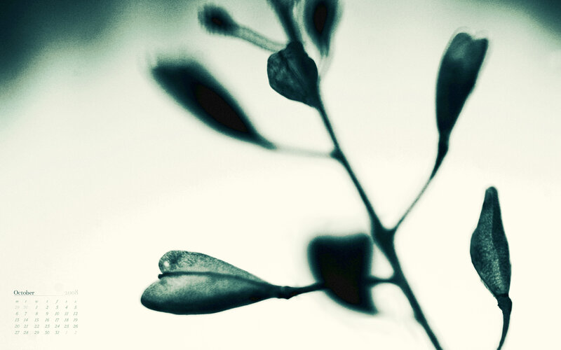 October 2008 calendar with plant silhouette
