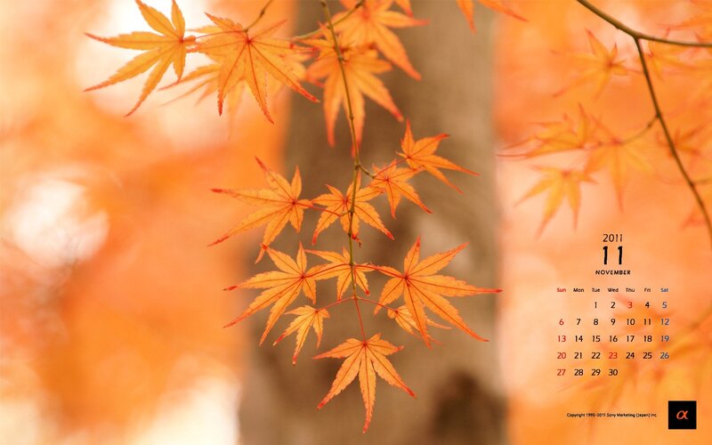 October 2011 calendar with autumn leaves