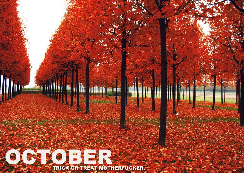 October tree-lined path