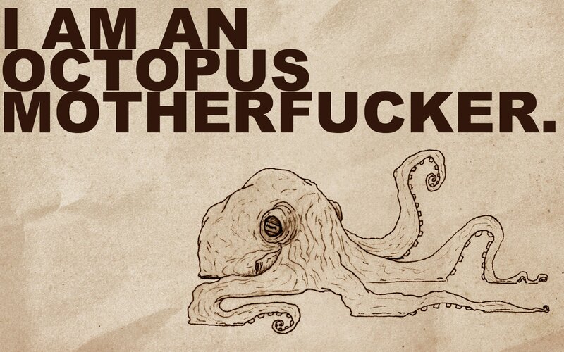octopus declaration image