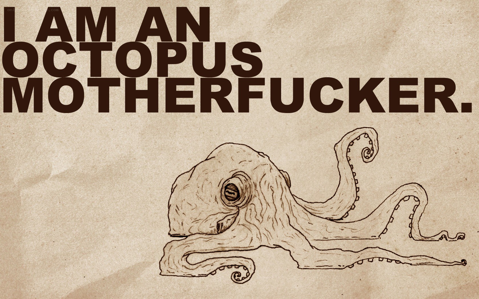 octopus declaration image