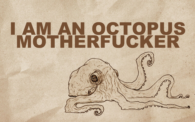 octopus declaration image