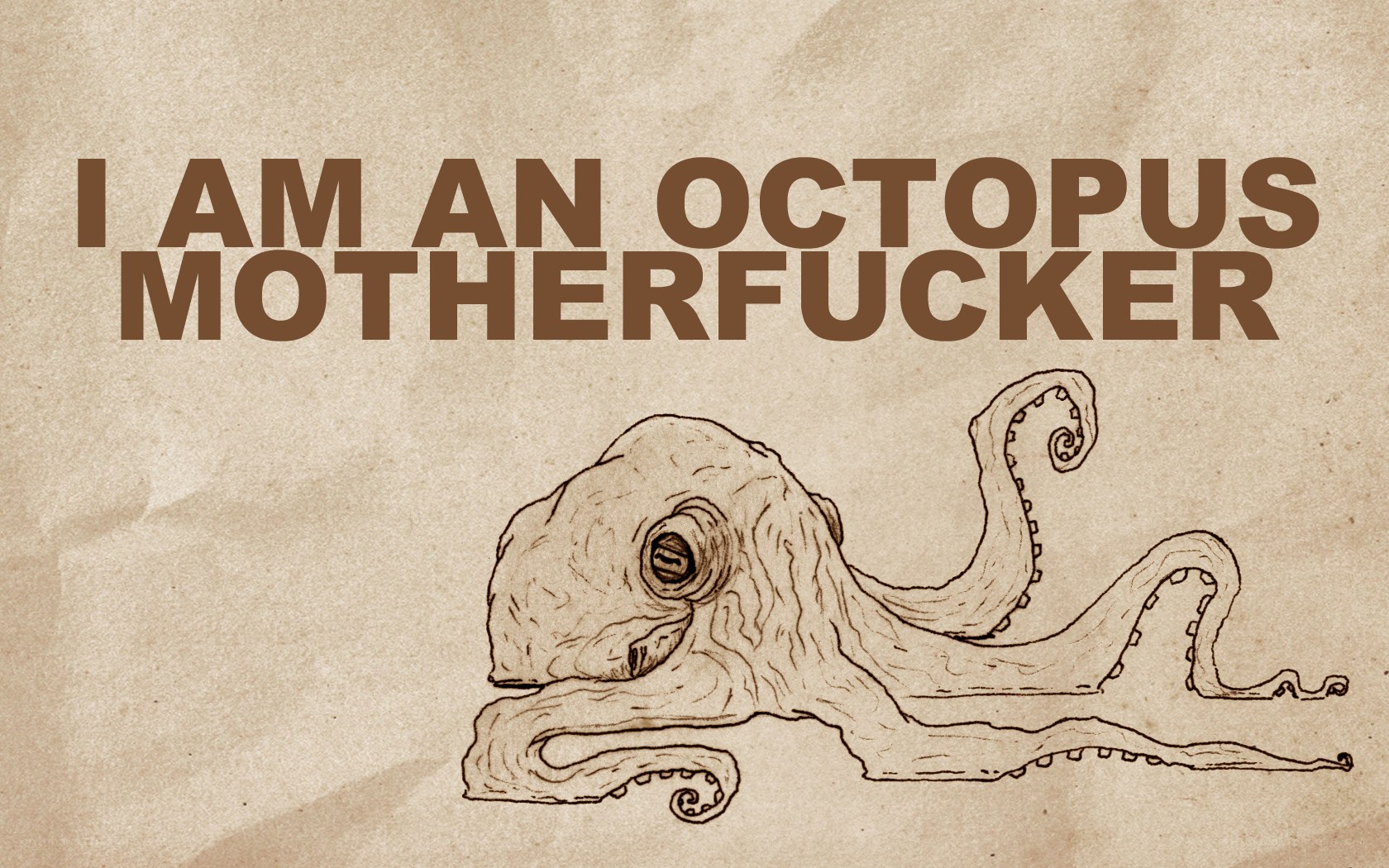 octopus declaration image