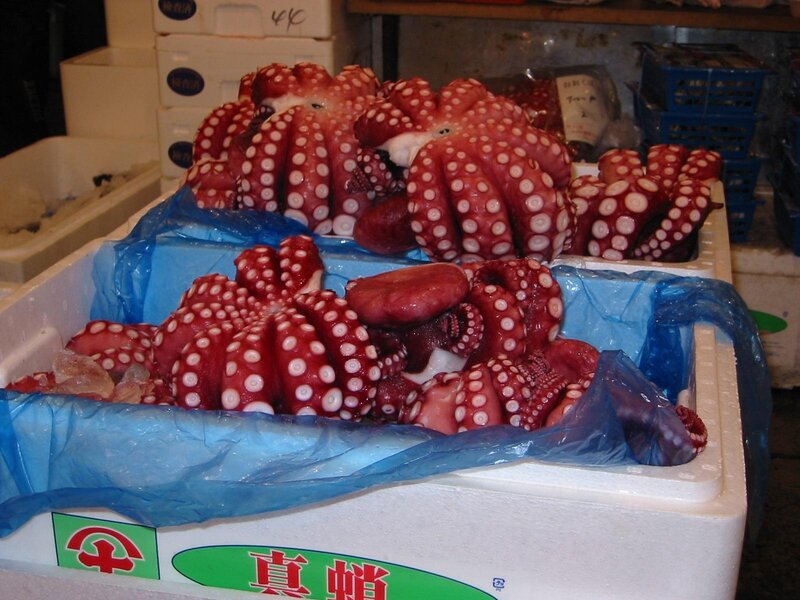 Octopus display at fish market