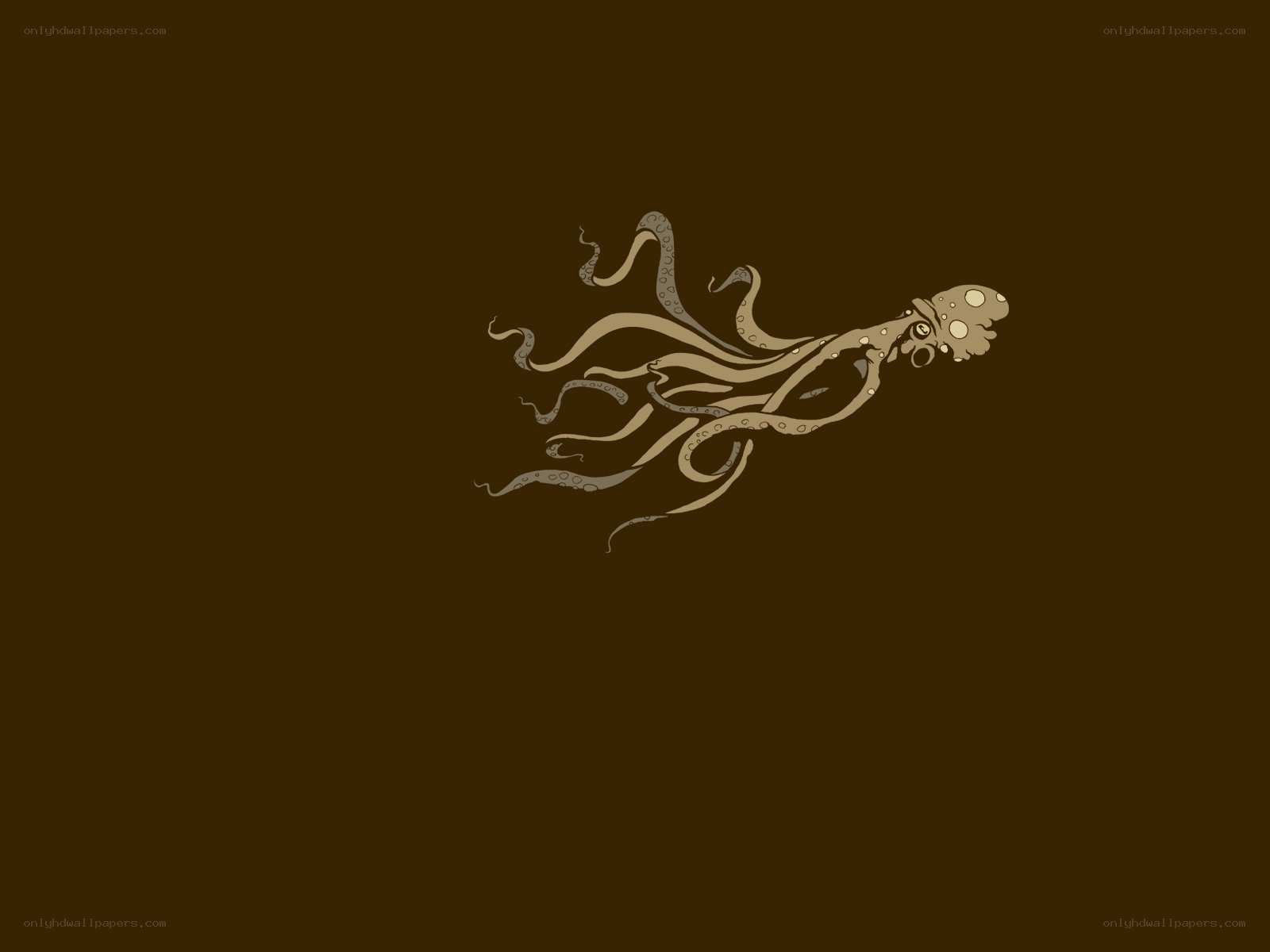 octopus illustration on brown