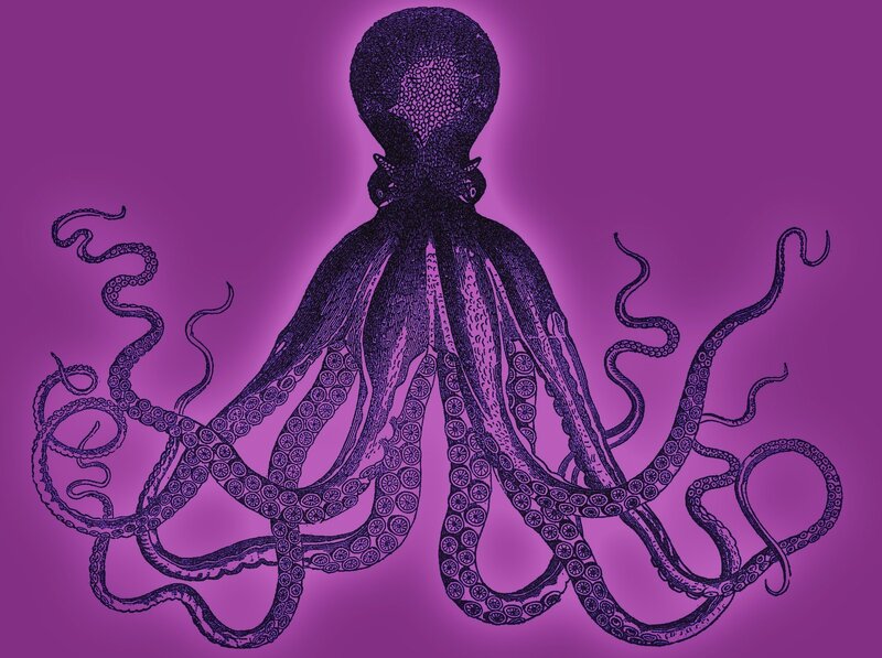 Octopus Illustration — Purple