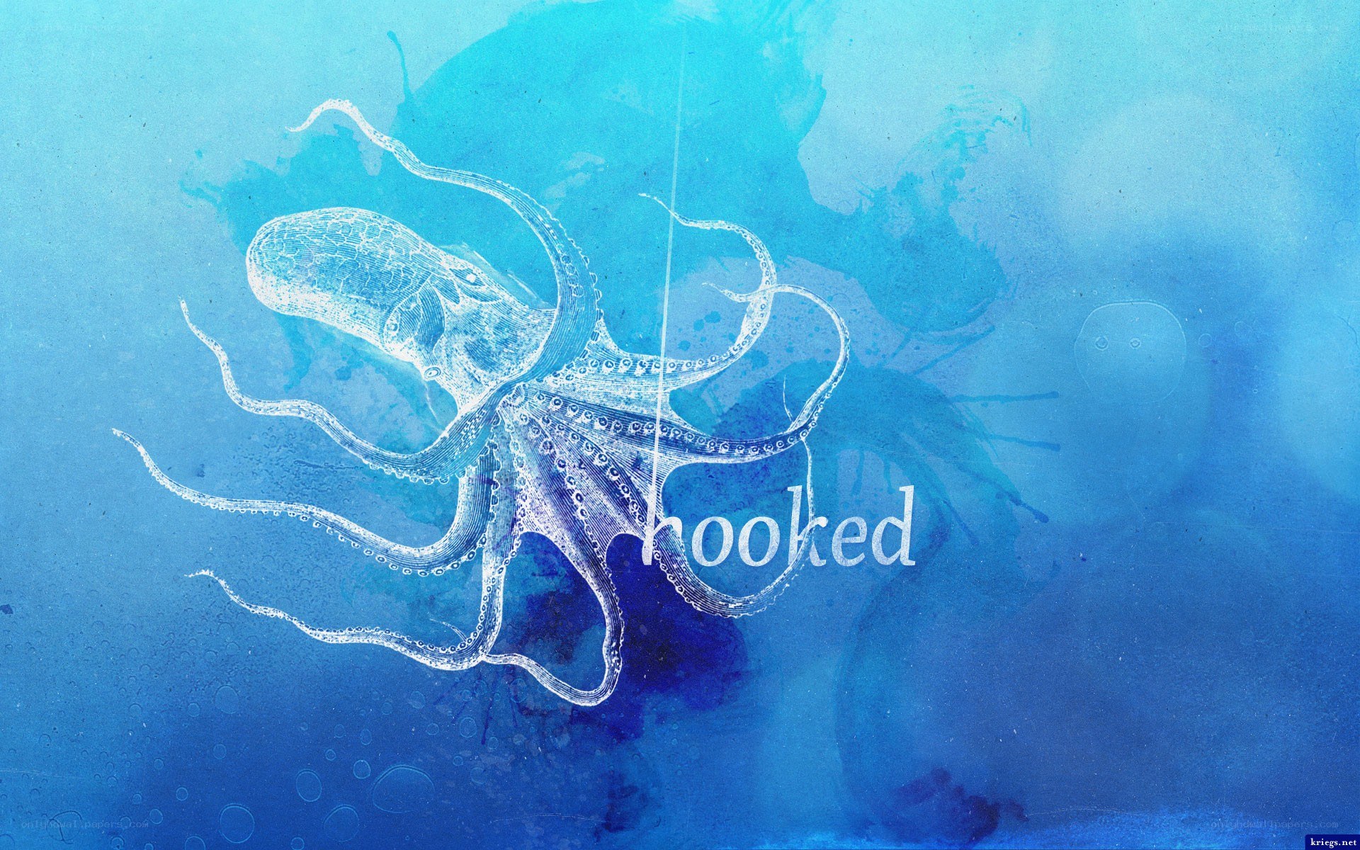 octopus illustration with text