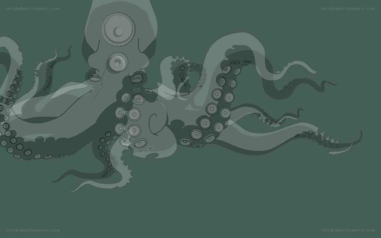 octopus illustration