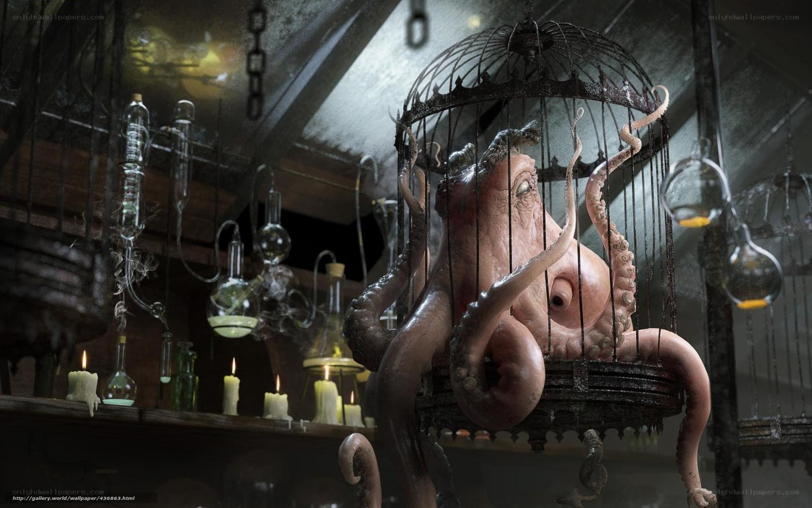 octopus in a cage